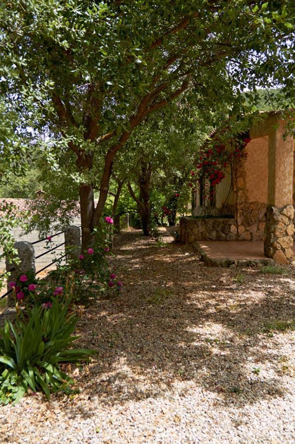 Casas Rurales Amable- Yeste Cortijo Prados Extérieur photo