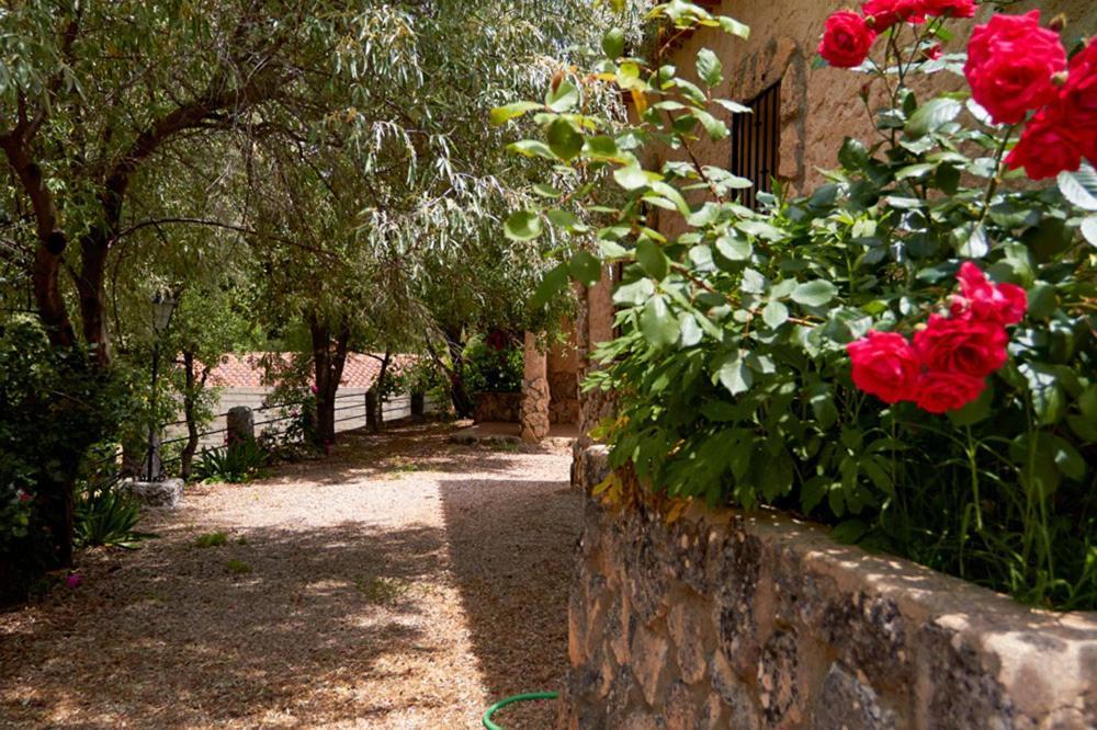 Casas Rurales Amable- Yeste Cortijo Prados Extérieur photo