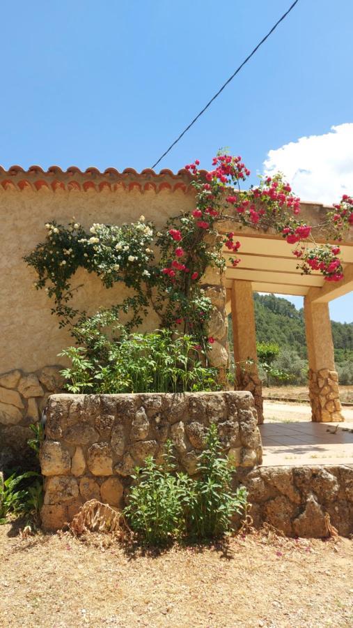 Casas Rurales Amable- Yeste Cortijo Prados Extérieur photo