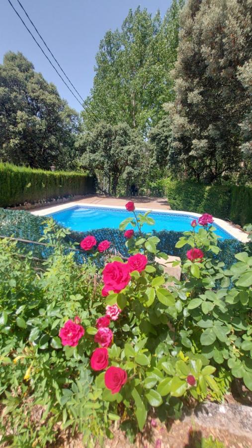 Casas Rurales Amable- Yeste Cortijo Prados Extérieur photo