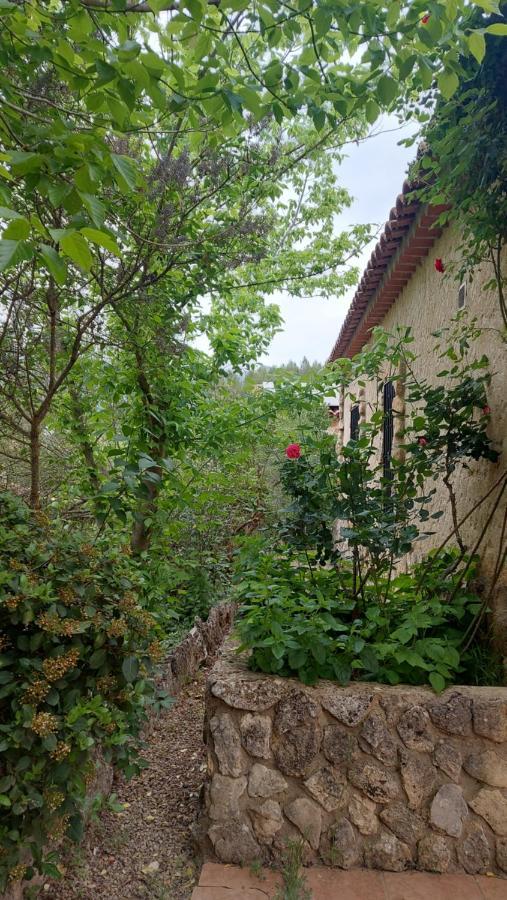 Casas Rurales Amable- Yeste Cortijo Prados Extérieur photo